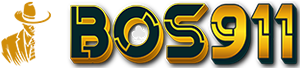 vs-logo-img