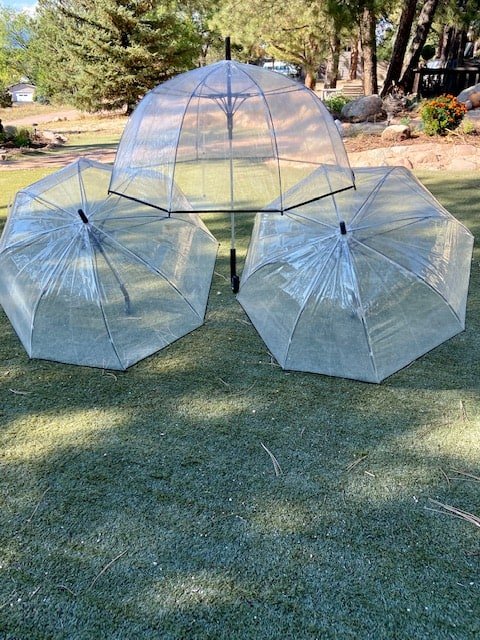 Umbrella
