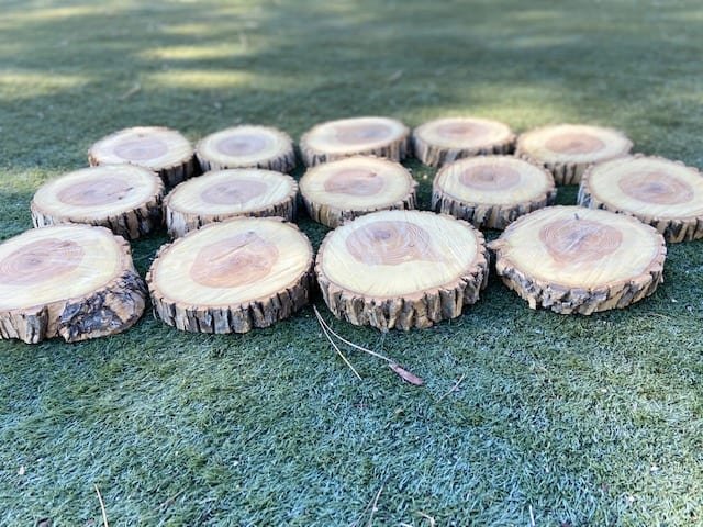 Wood Slices